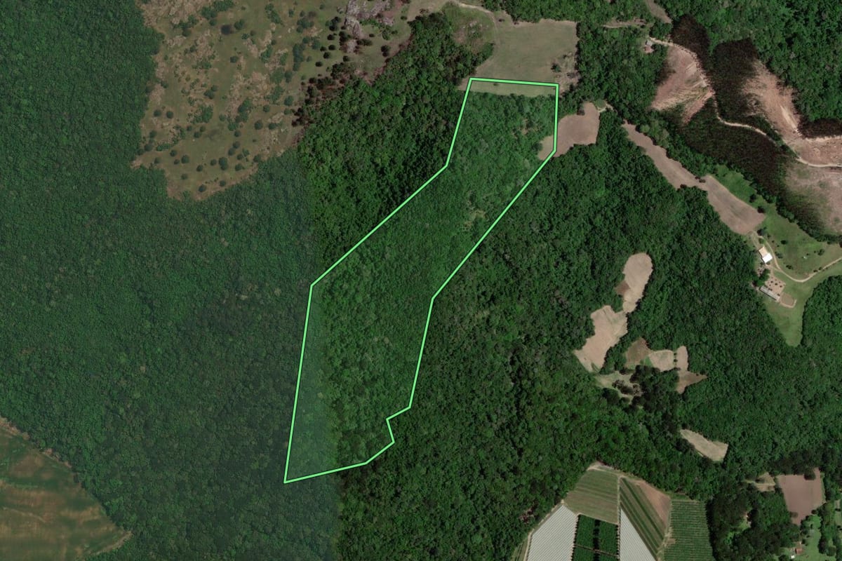 Imagem de satélite do imóvel rural em Lapa (PR), com o contorno declarado no CAR desenhado por cima.