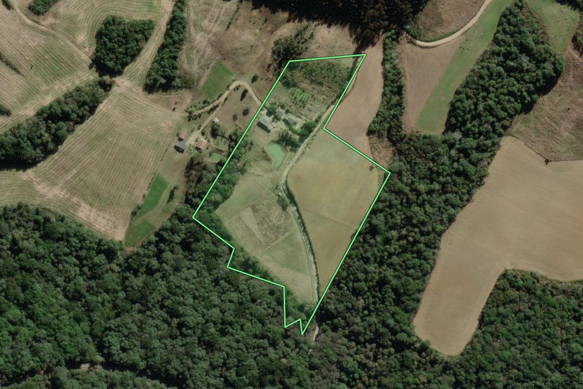 Imagem de satélite do imóvel rural em Lapa (PR), com o contorno declarado no CAR desenhado por cima.