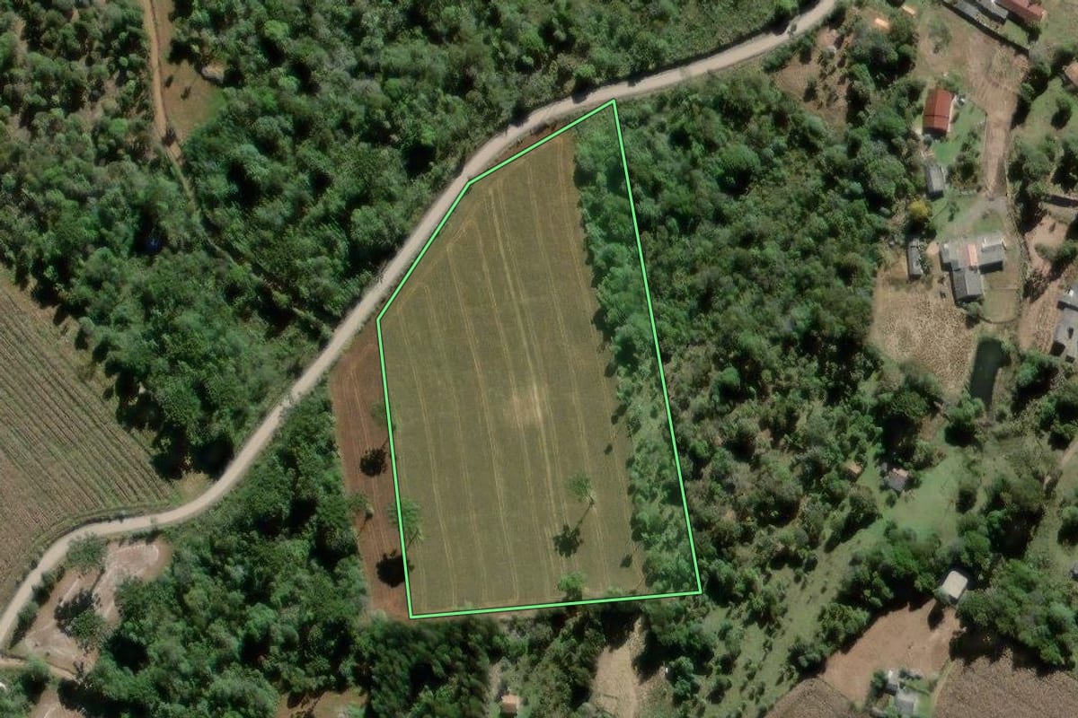 Imagem de satélite do imóvel rural em Lapa (PR), com o contorno declarado no CAR desenhado por cima.