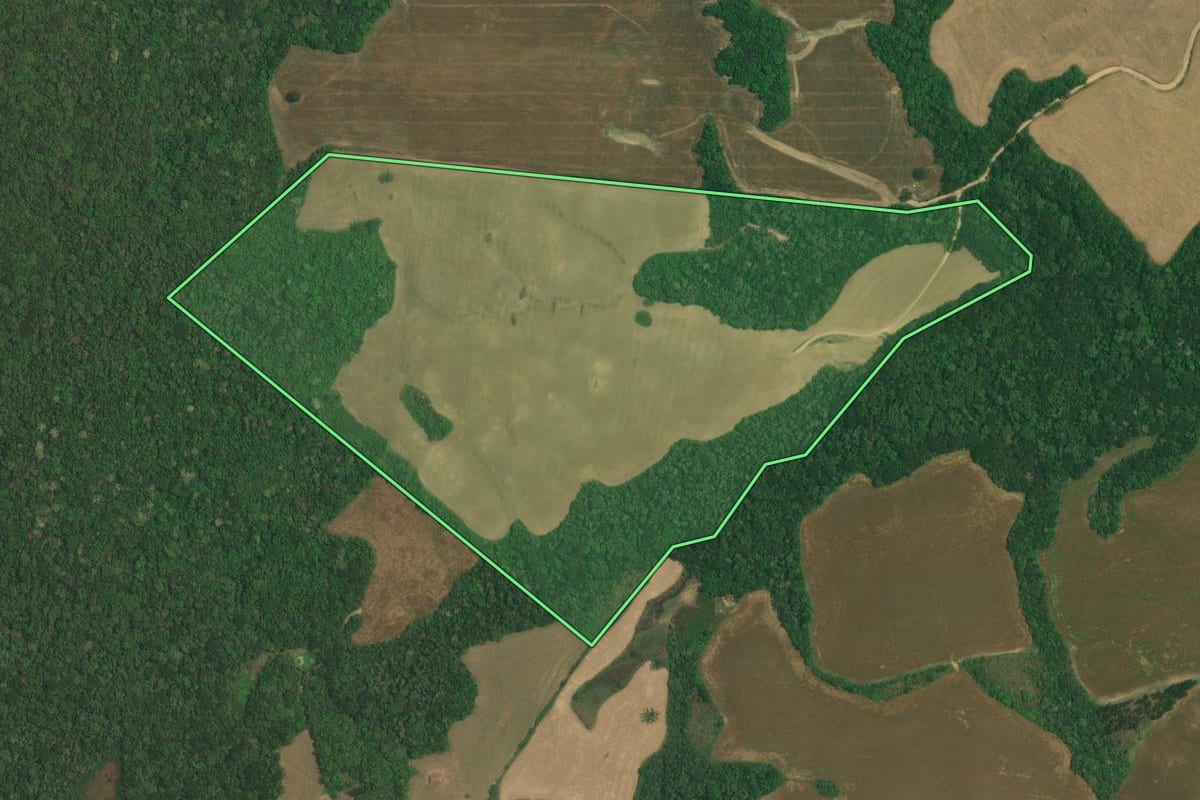 Imagem de satélite do imóvel rural em Lapa (PR), com o contorno declarado no CAR desenhado por cima.