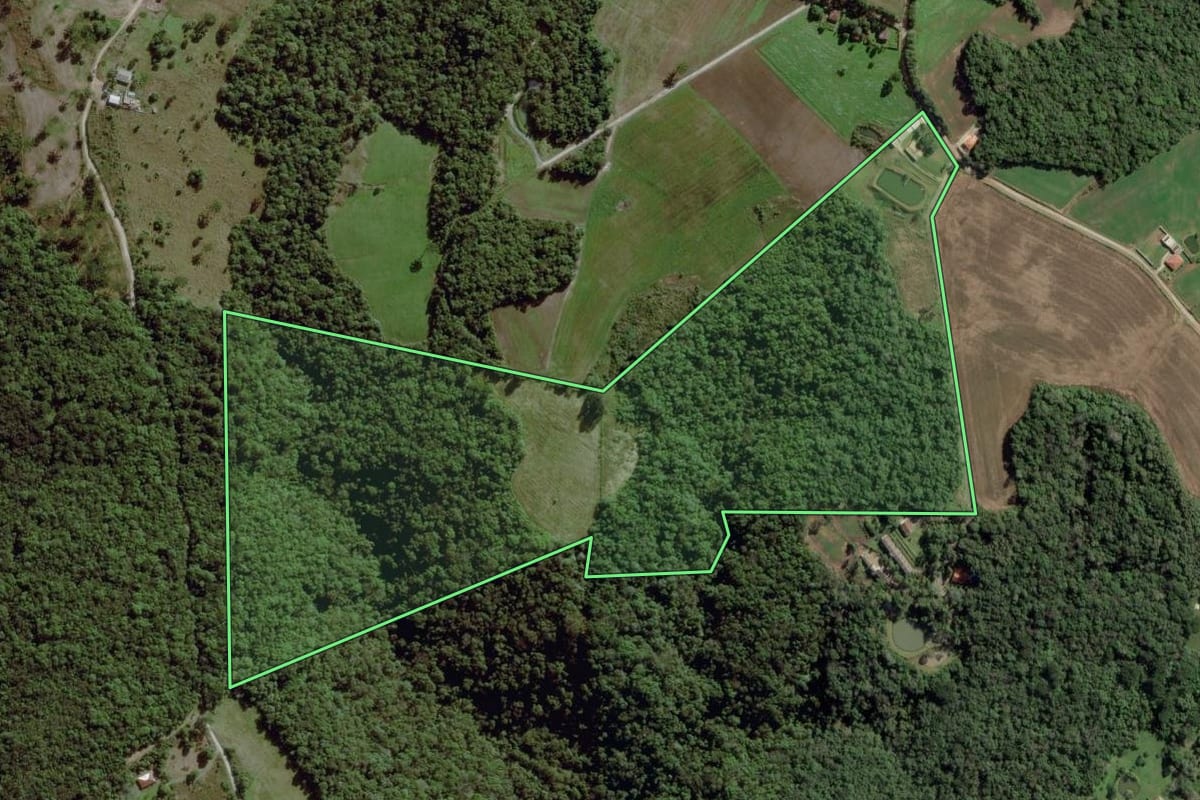 Imagem de satélite do imóvel rural em Lapa (PR), com o contorno declarado no CAR desenhado por cima.