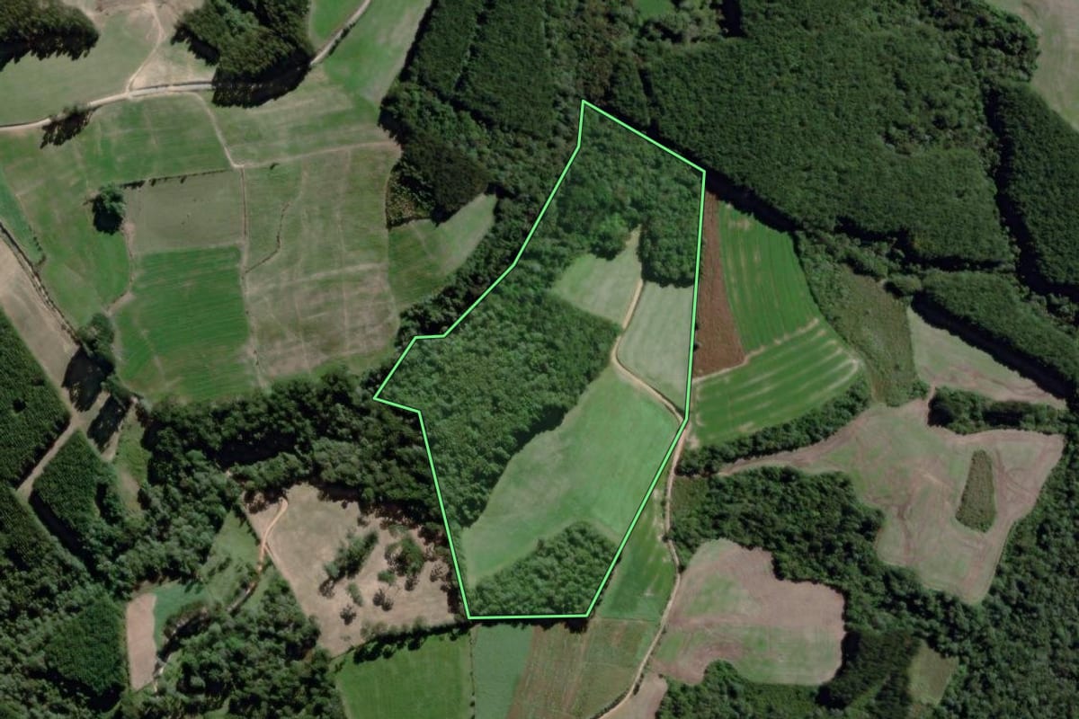 Imagem de satélite do imóvel rural em Lapa (PR), com o contorno declarado no CAR desenhado por cima.