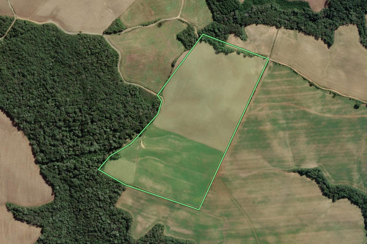 Imagem de satélite do imóvel rural em Lapa (PR), com o contorno declarado no CAR desenhado por cima.