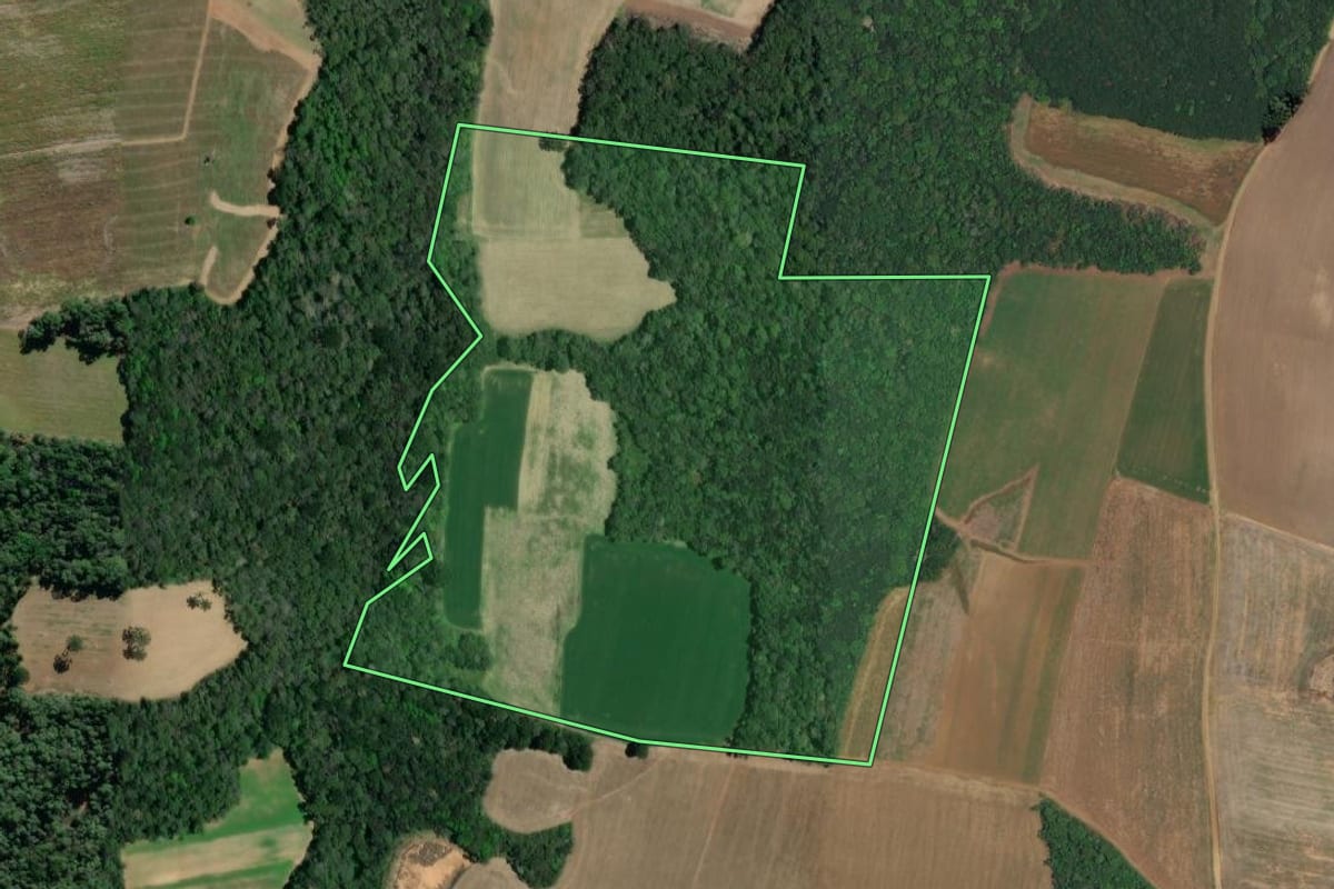 Imagem de satélite do imóvel rural em Lapa (PR), com o contorno declarado no CAR desenhado por cima.