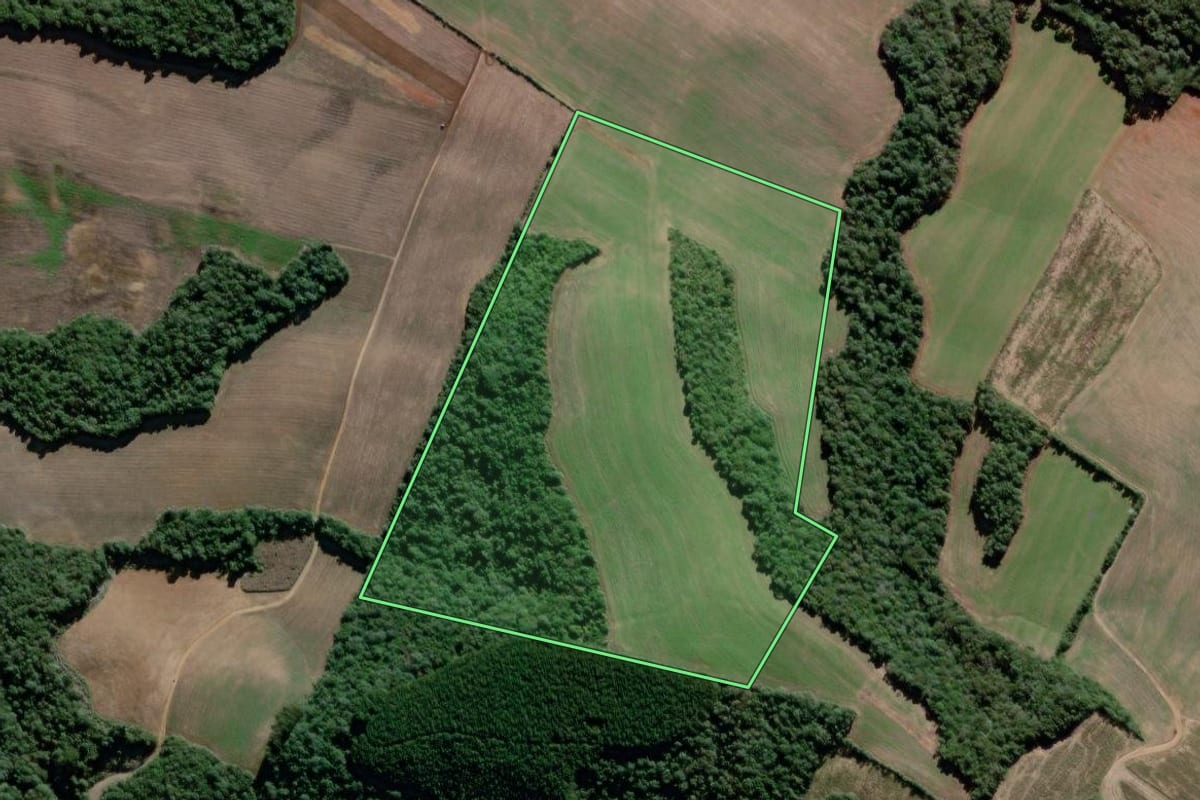 Imagem de satélite do imóvel rural em Lapa (PR), com o contorno declarado no CAR desenhado por cima.