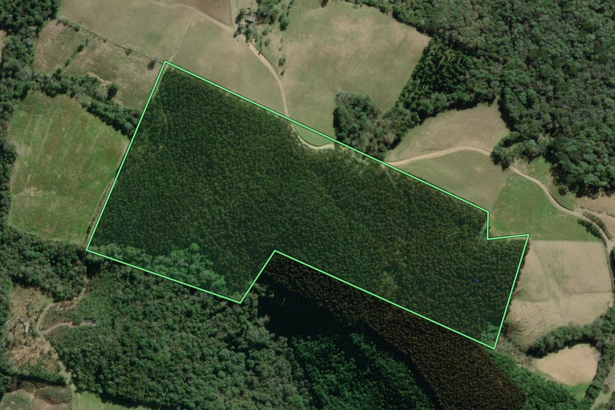 Imagem de satélite do imóvel rural em Lapa (PR), com o contorno declarado no CAR desenhado por cima.
