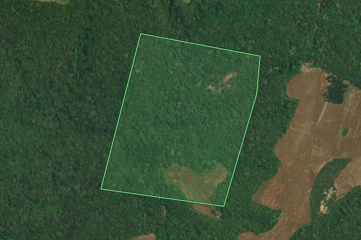 Imagem de satélite do imóvel rural em Lapa (PR), com o contorno declarado no CAR desenhado por cima.