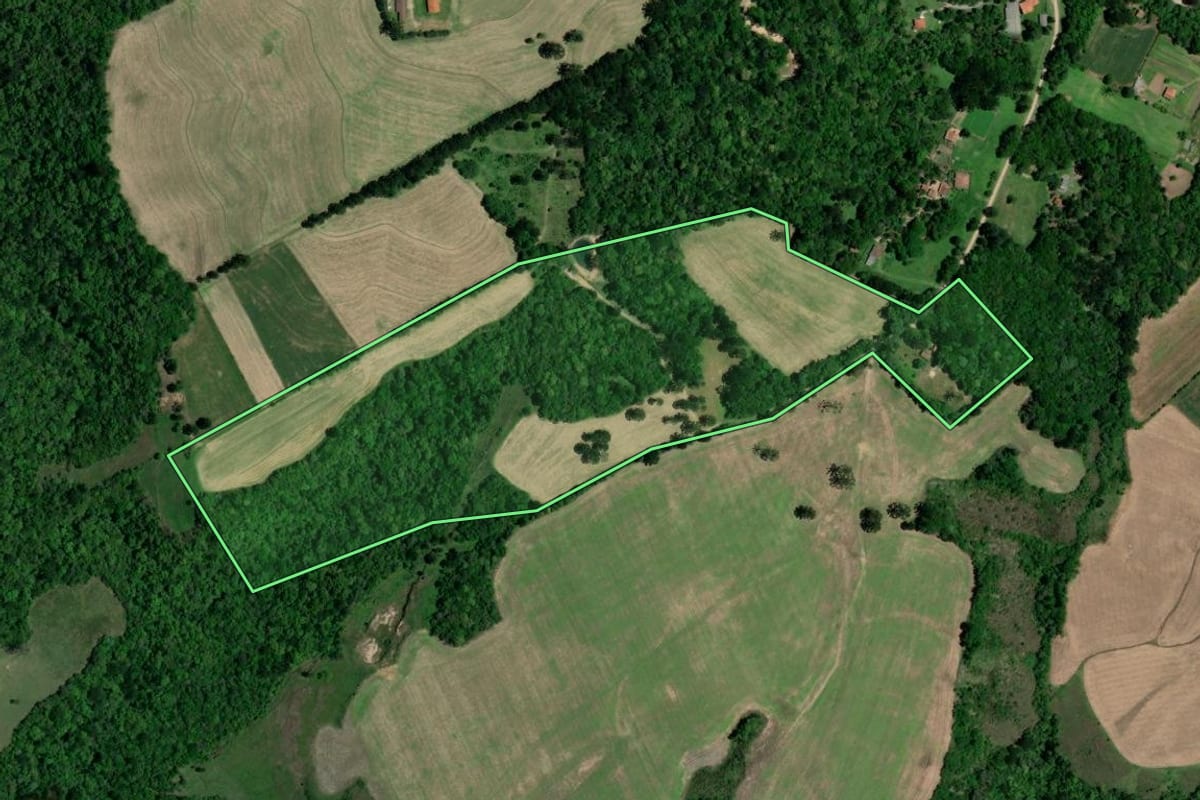 Imagem de satélite do imóvel rural em Lapa (PR), com o contorno declarado no CAR desenhado por cima.