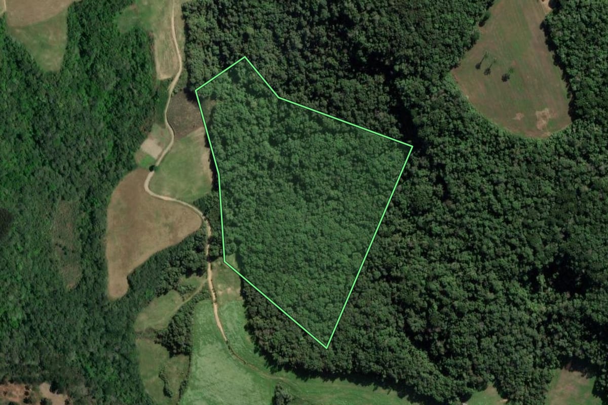 Imagem de satélite do imóvel rural em Lapa (PR), com o contorno declarado no CAR desenhado por cima.