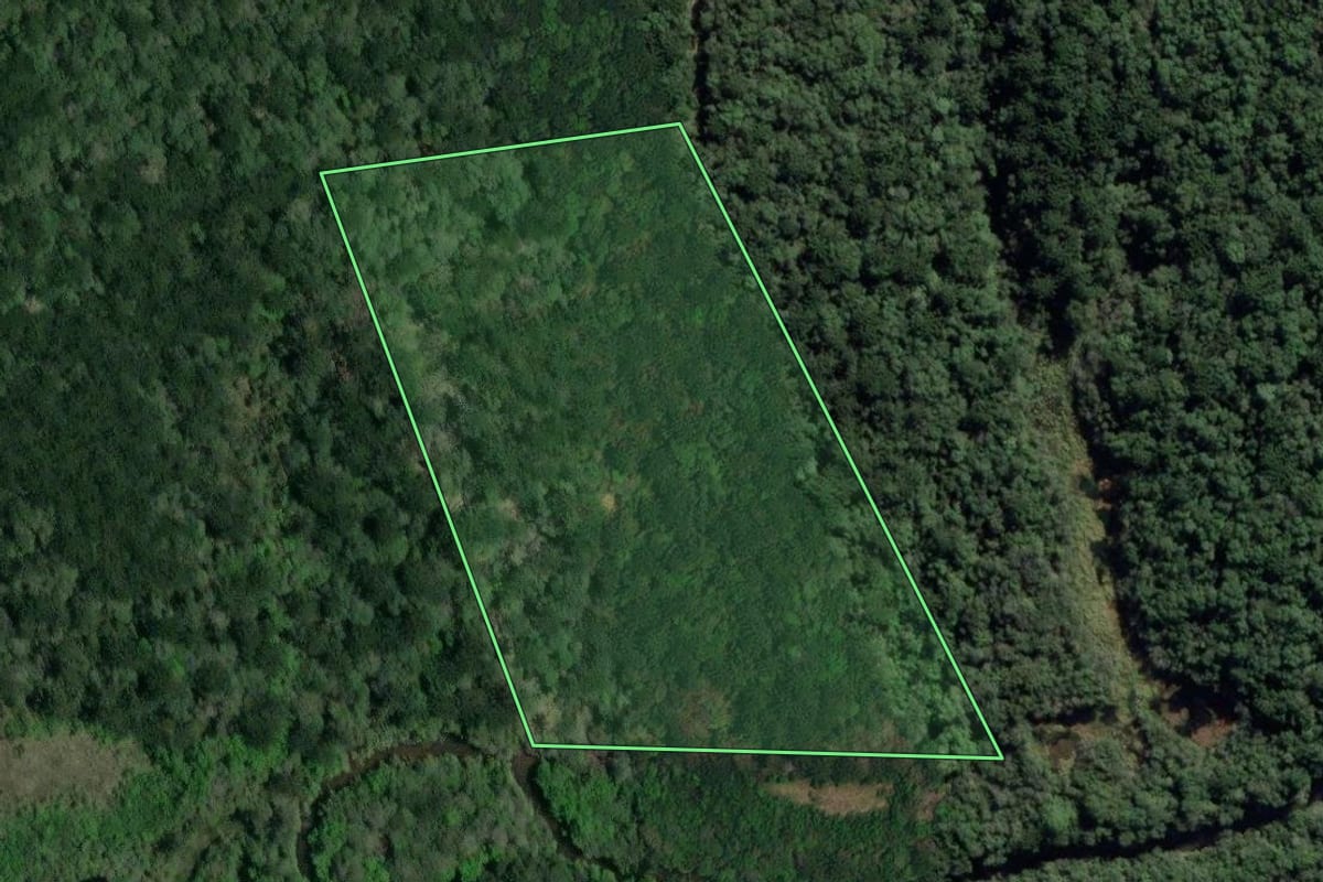 Imagem de satélite do imóvel rural em Lapa (PR), com o contorno declarado no CAR desenhado por cima.