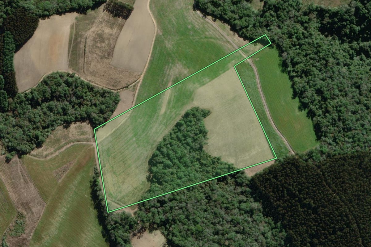 Imagem de satélite do imóvel rural em Lapa (PR), com o contorno declarado no CAR desenhado por cima.