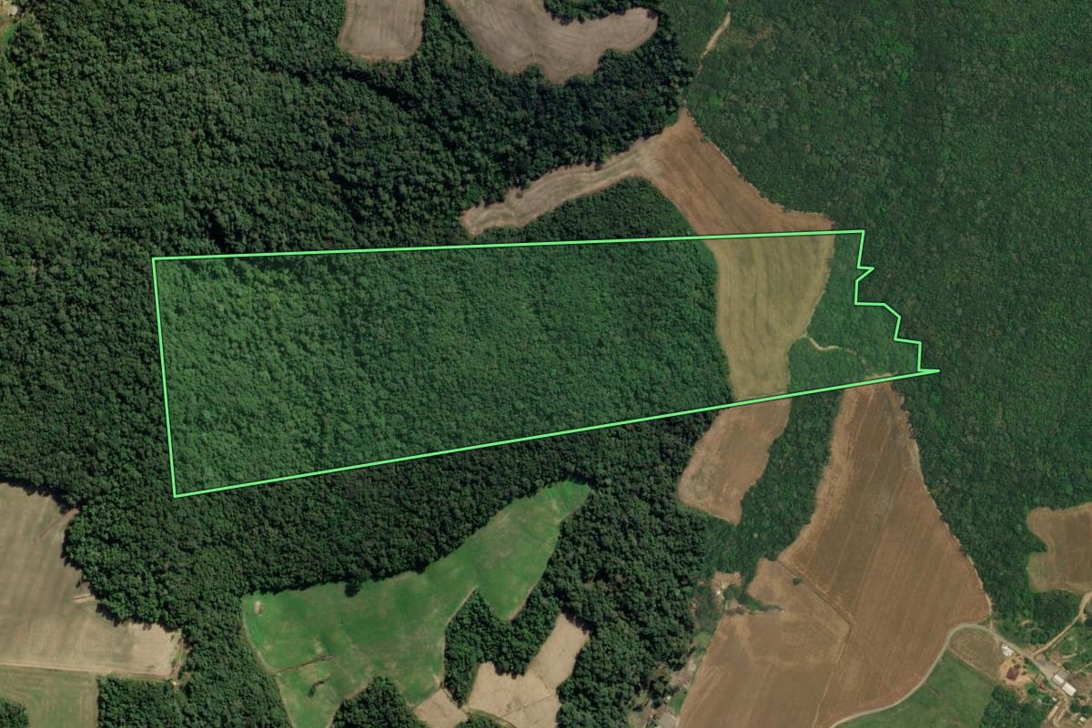 Imagem de satélite do imóvel rural em Lapa (PR), com o contorno declarado no CAR desenhado por cima.