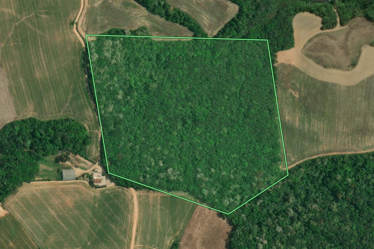 Imagem de satélite do imóvel rural em Lapa (PR), com o contorno declarado no CAR desenhado por cima.
