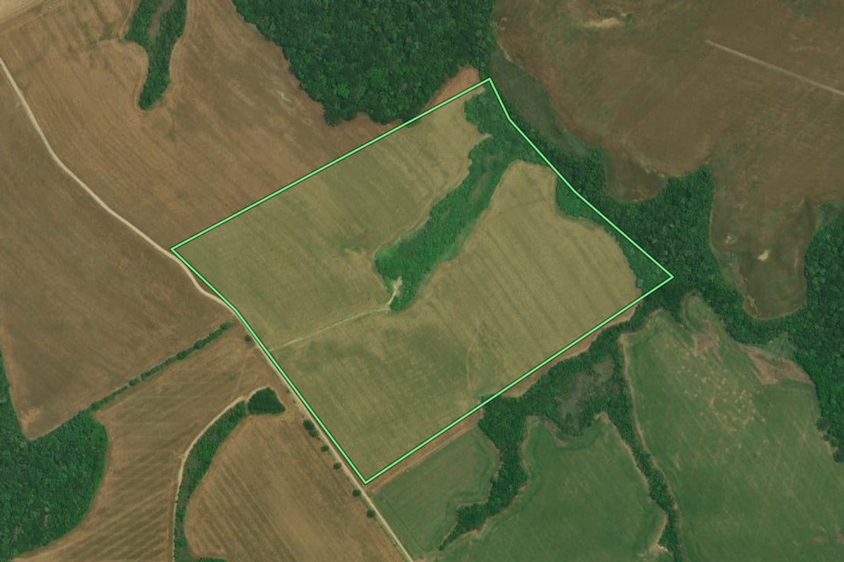 Imagem de satélite do imóvel rural em Lapa (PR), com o contorno declarado no CAR desenhado por cima.