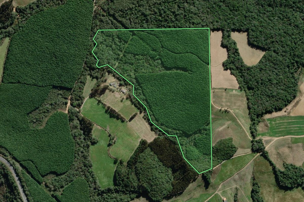 Imagem de satélite do imóvel rural em Lapa (PR), com o contorno declarado no CAR desenhado por cima.