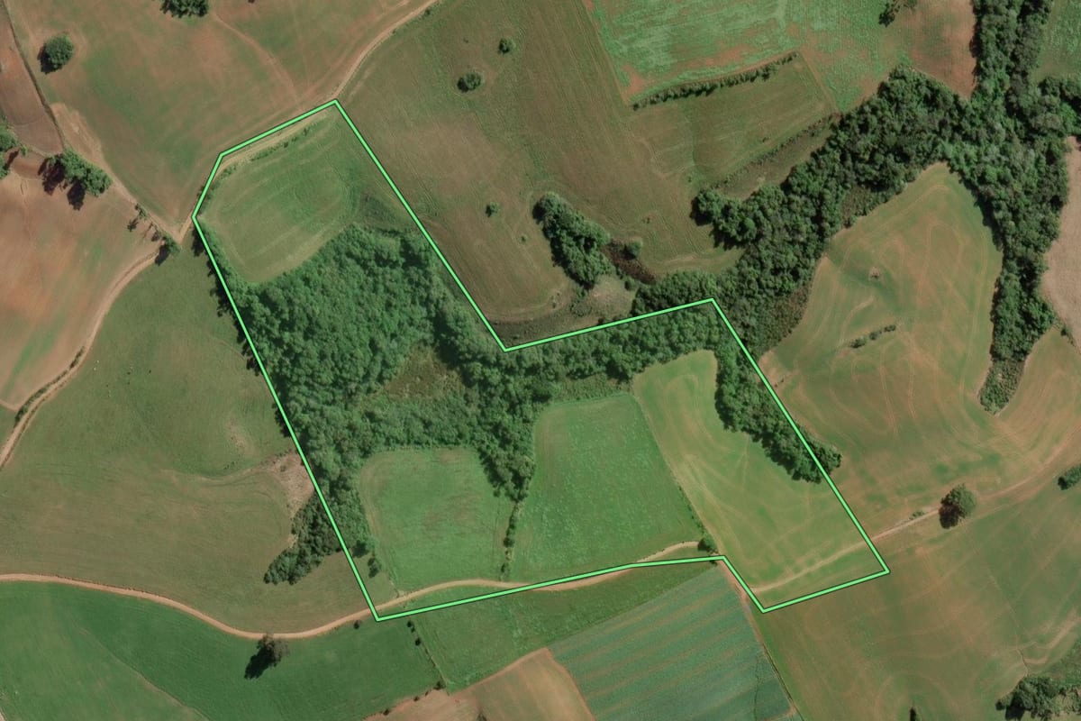 Imagem de satélite do imóvel rural em Lapa (PR), com o contorno declarado no CAR desenhado por cima.