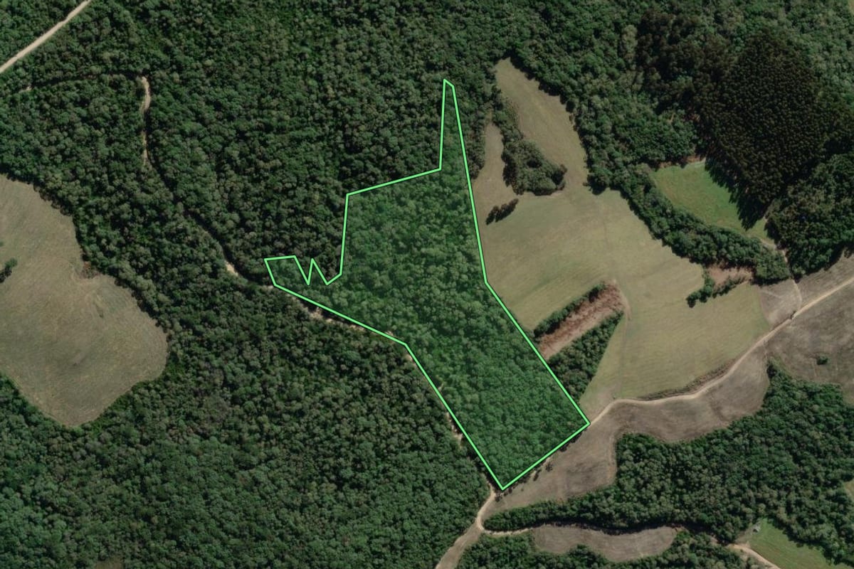 Imagem de satélite do imóvel rural em Lapa (PR), com o contorno declarado no CAR desenhado por cima.