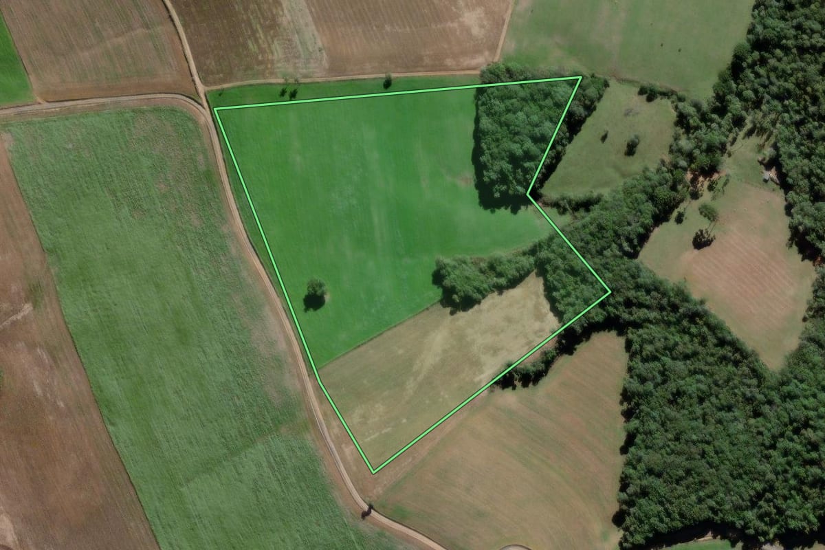 Imagem de satélite do imóvel rural em Lapa (PR), com o contorno declarado no CAR desenhado por cima.