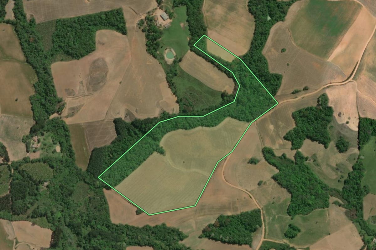 Imagem de satélite do imóvel rural em Lapa (PR), com o contorno declarado no CAR desenhado por cima.