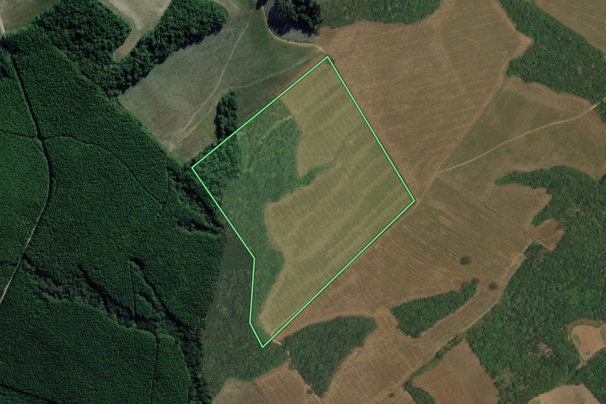 Imagem de satélite do imóvel rural em Lapa (PR), com o contorno declarado no CAR desenhado por cima.