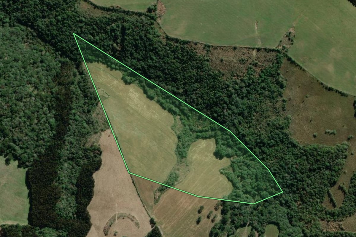 Imagem de satélite do imóvel rural em Lapa (PR), com o contorno declarado no CAR desenhado por cima.