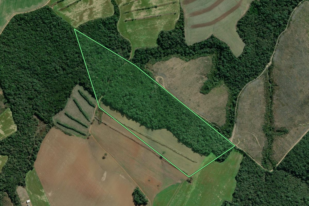 Imagem de satélite do imóvel rural em Lapa (PR), com o contorno declarado no CAR desenhado por cima.