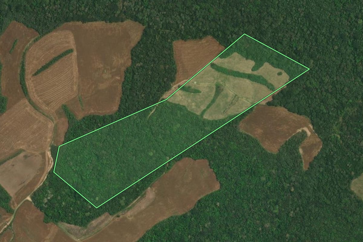 Imagem de satélite do imóvel rural em Lapa (PR), com o contorno declarado no CAR desenhado por cima.