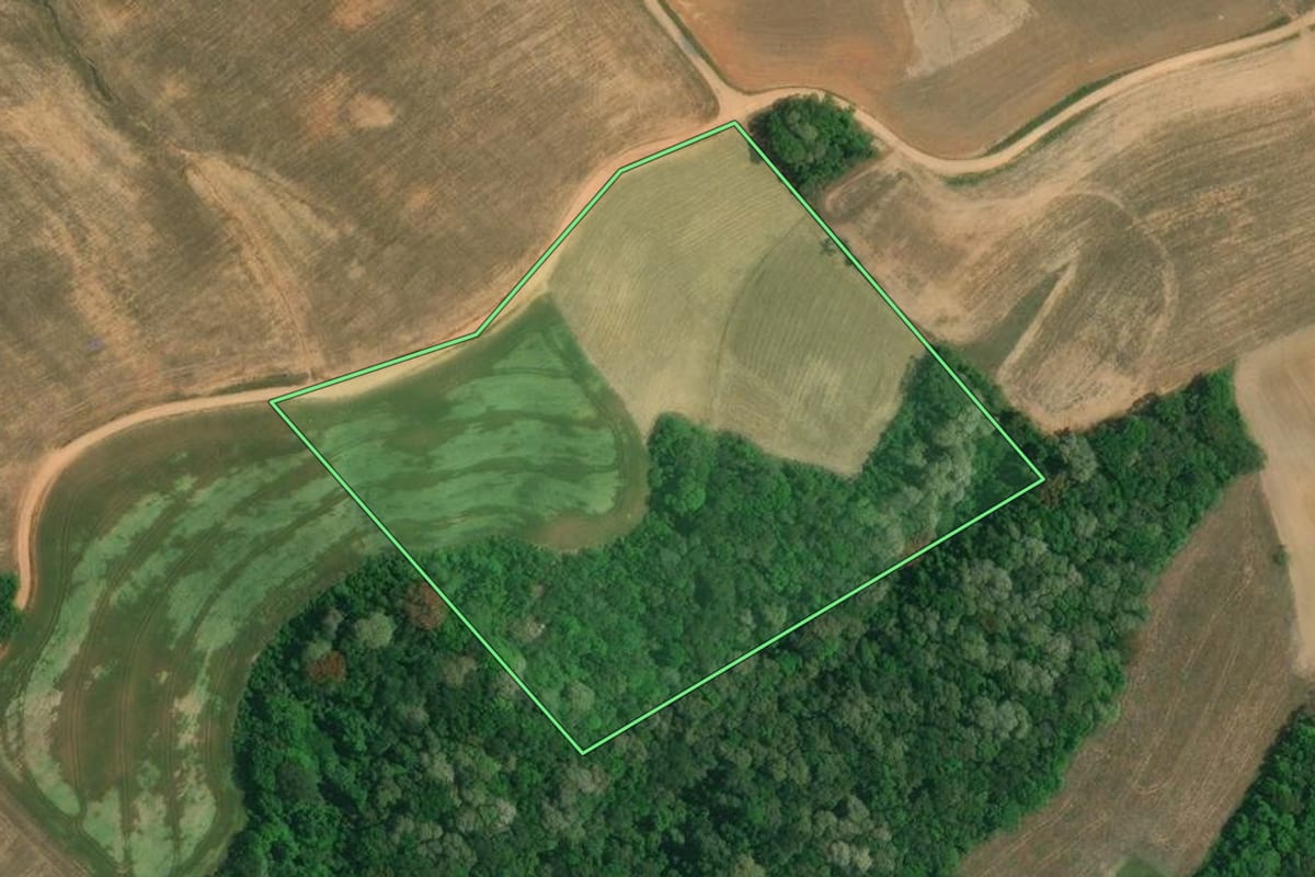 Imagem de satélite do imóvel rural em Lapa (PR), com o contorno declarado no CAR desenhado por cima.