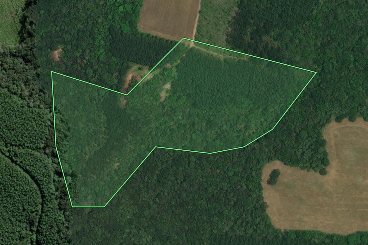 Imagem de satélite do imóvel rural em Lapa (PR), com o contorno declarado no CAR desenhado por cima.