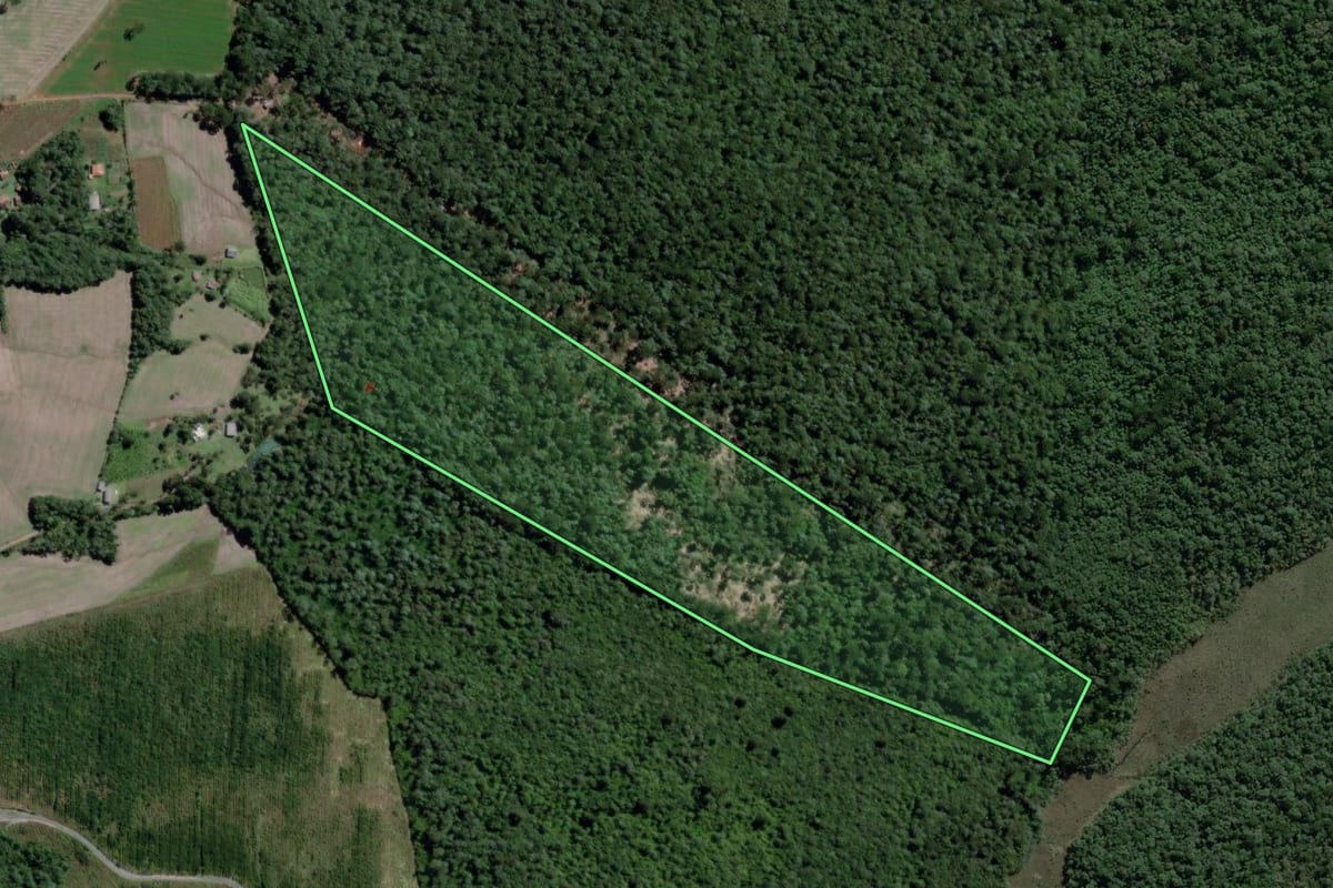 Imagem de satélite do imóvel rural em Lapa (PR), com o contorno declarado no CAR desenhado por cima.