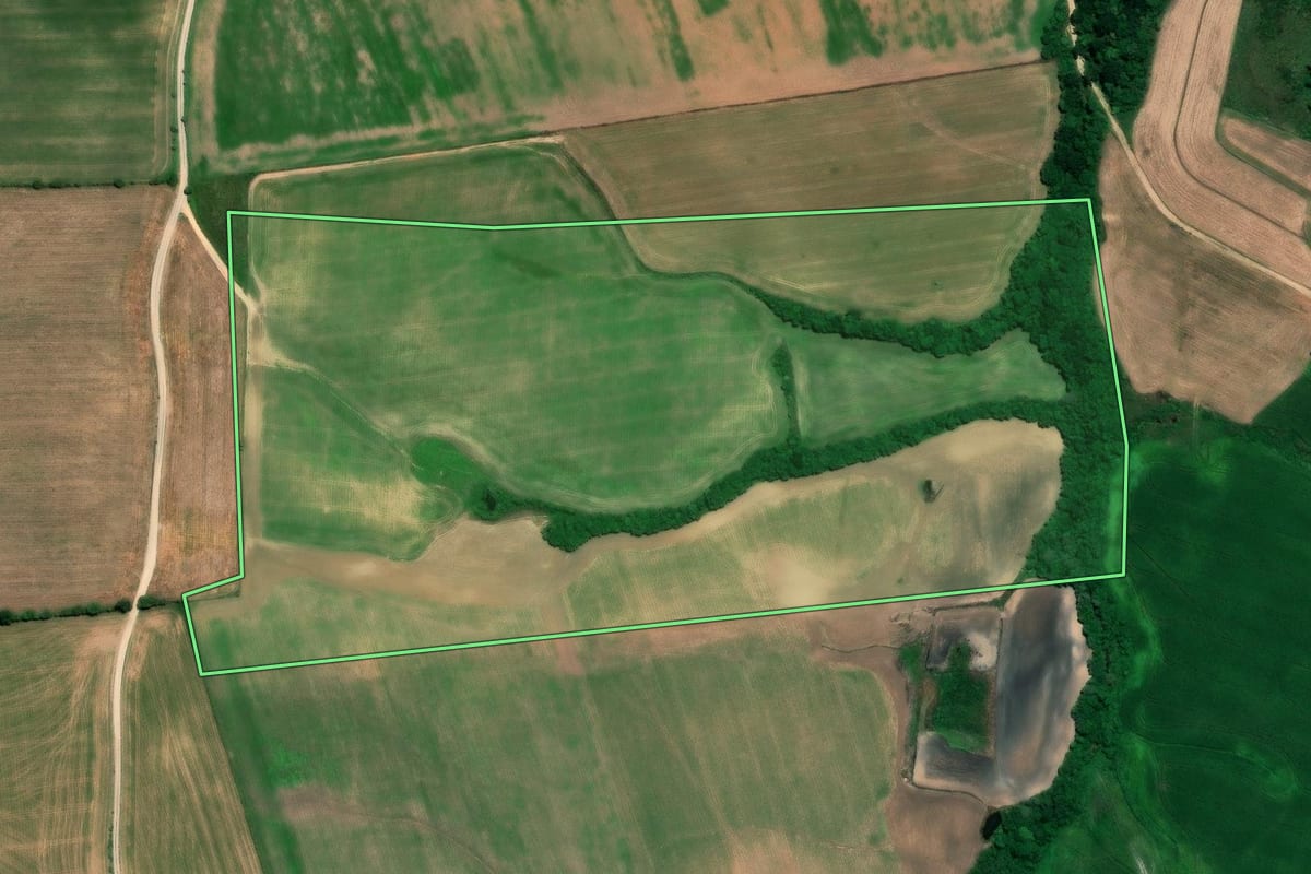 Imagem de satélite do imóvel rural em Lapa (PR), com o contorno declarado no CAR desenhado por cima.