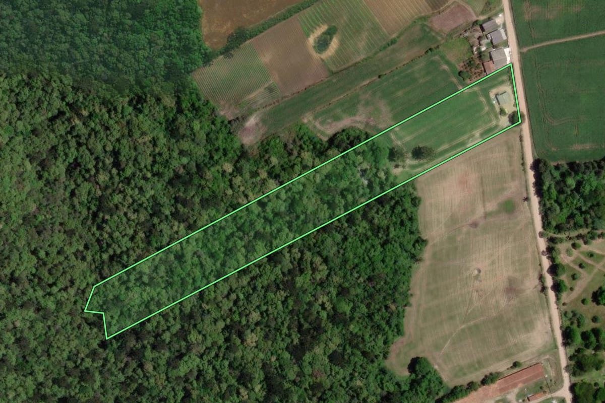 Imagem de satélite do imóvel rural em Lapa (PR), com o contorno declarado no CAR desenhado por cima.