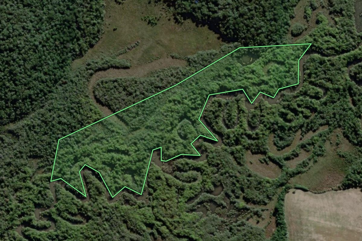 Imagem de satélite do imóvel rural em Lapa (PR), com o contorno declarado no CAR desenhado por cima.