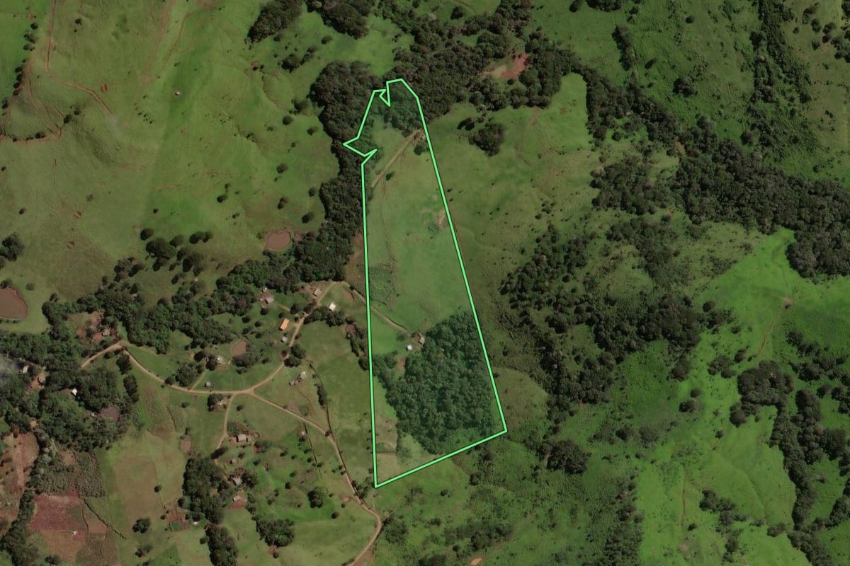 Imagem de satélite do imóvel rural em Laranjal (PR), com o contorno declarado no CAR desenhado por cima.