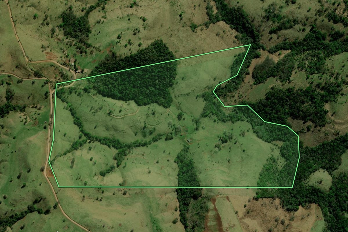 Imagem de satélite do imóvel rural em Laranjal (PR), com o contorno declarado no CAR desenhado por cima.