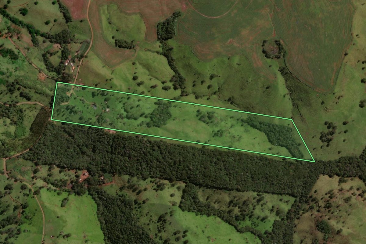 Imagem de satélite do imóvel rural em Laranjal (PR), com o contorno declarado no CAR desenhado por cima.