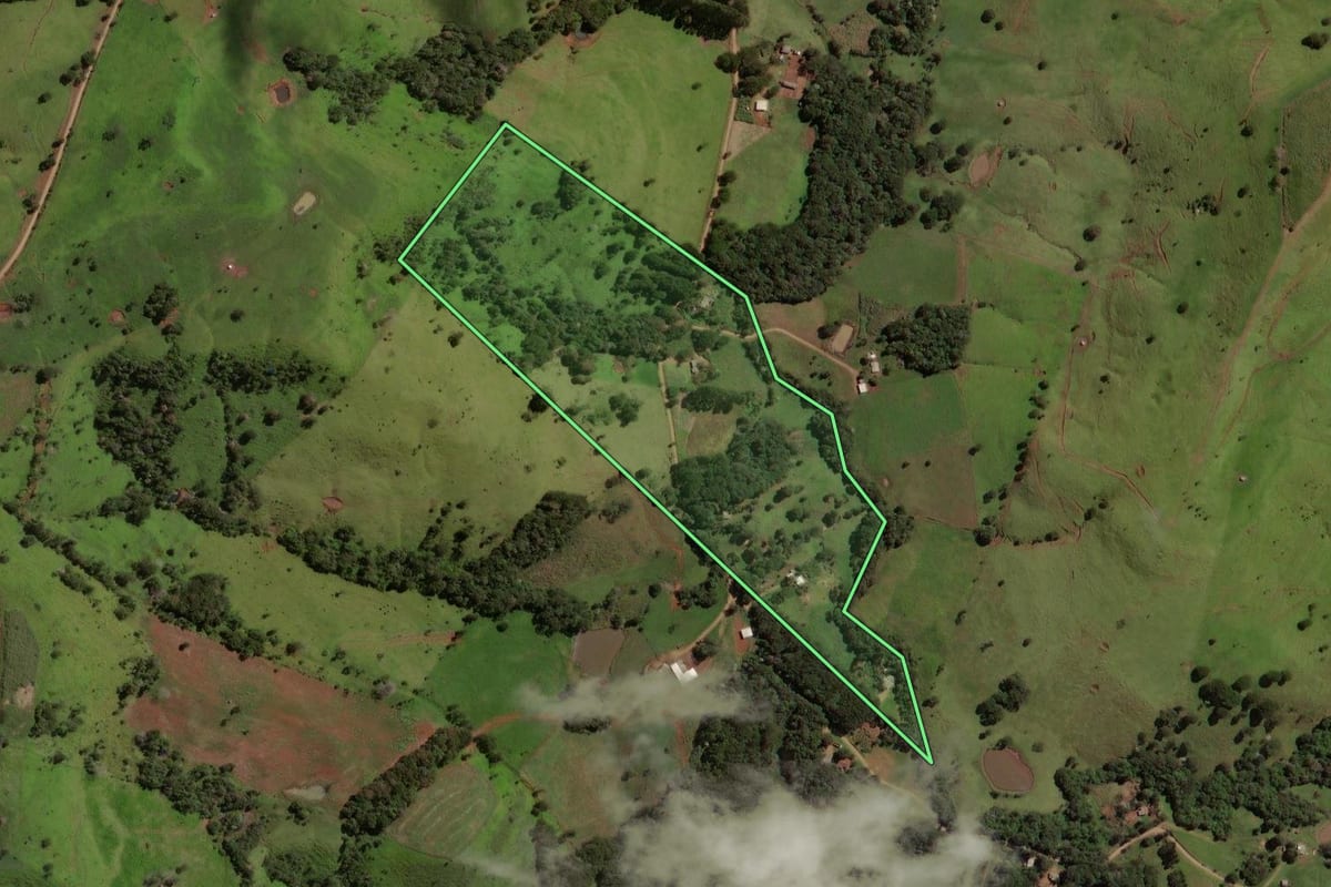 Imagem de satélite do imóvel rural em Laranjal (PR), com o contorno declarado no CAR desenhado por cima.