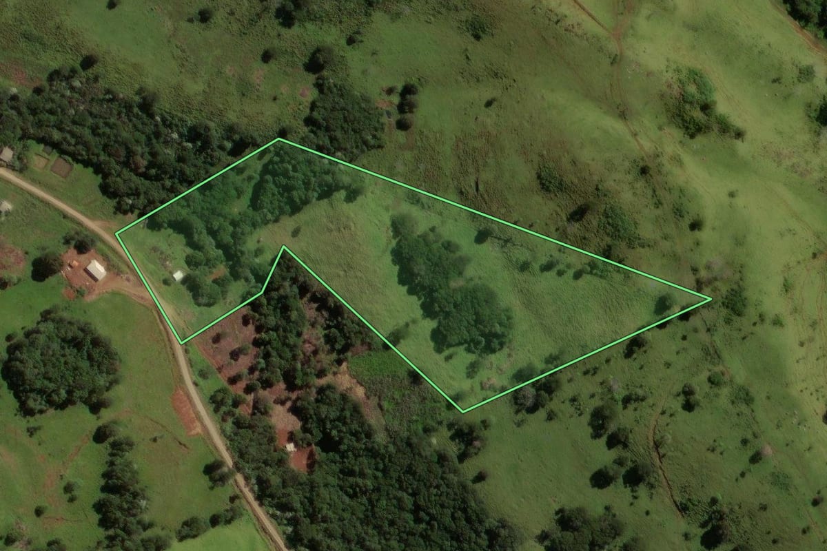 Imagem de satélite do imóvel rural em Laranjal (PR), com o contorno declarado no CAR desenhado por cima.