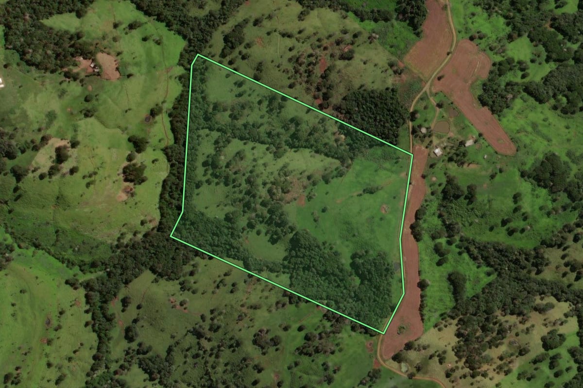 Imagem de satélite do imóvel rural em Laranjal (PR), com o contorno declarado no CAR desenhado por cima.