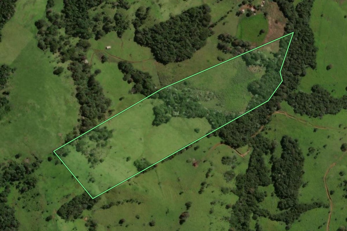 Imagem de satélite do imóvel rural em Laranjal (PR), com o contorno declarado no CAR desenhado por cima.