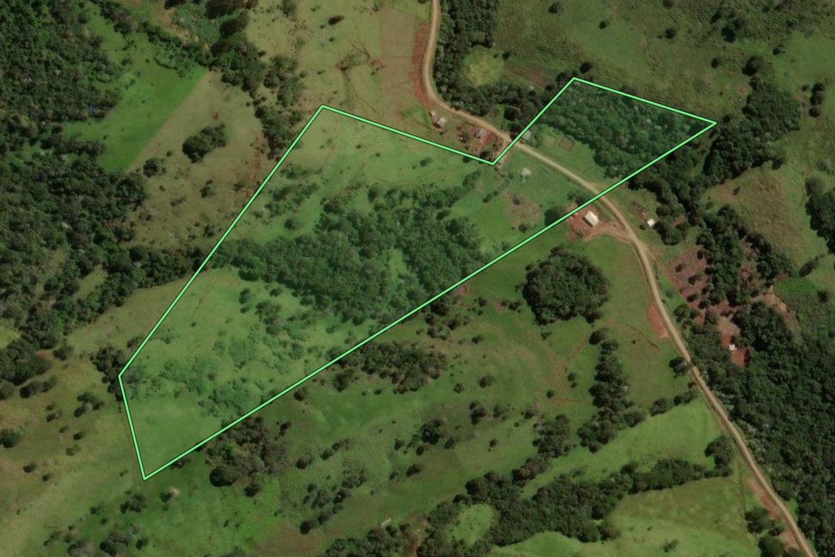 Imagem de satélite do imóvel rural em Laranjal (PR), com o contorno declarado no CAR desenhado por cima.