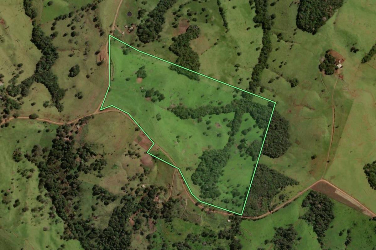 Imagem de satélite do imóvel rural em Laranjal (PR), com o contorno declarado no CAR desenhado por cima.
