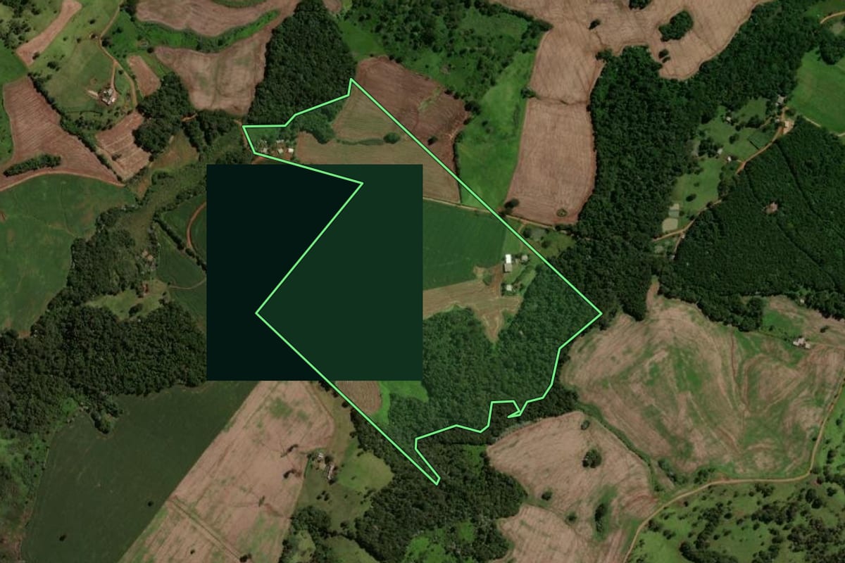 Imagem de satélite do imóvel rural em Laranjal (PR), com o contorno declarado no CAR desenhado por cima.