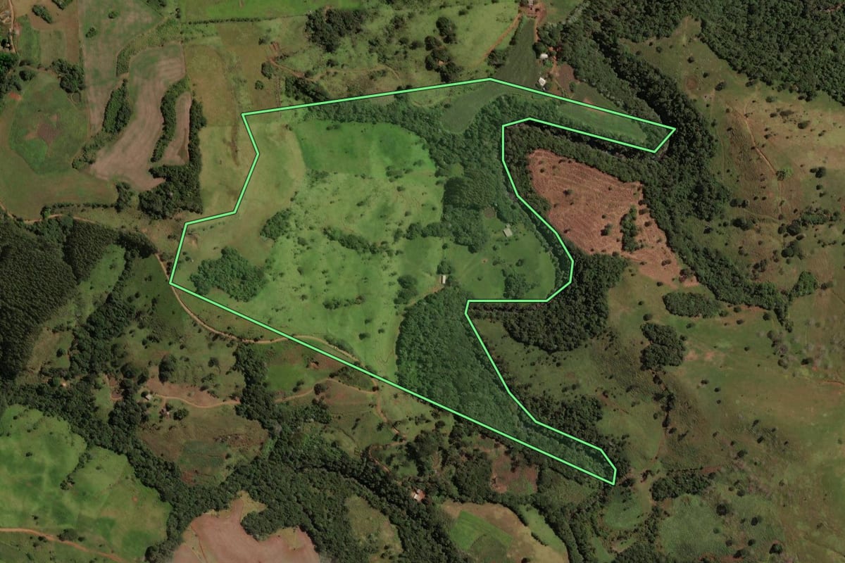 Imagem de satélite do imóvel rural em Laranjeiras do Sul (PR), com o contorno declarado no CAR desenhado por cima.