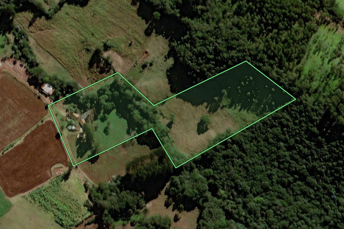 Imagem de satélite do imóvel rural em Laranjeiras do Sul (PR), com o contorno declarado no CAR desenhado por cima.