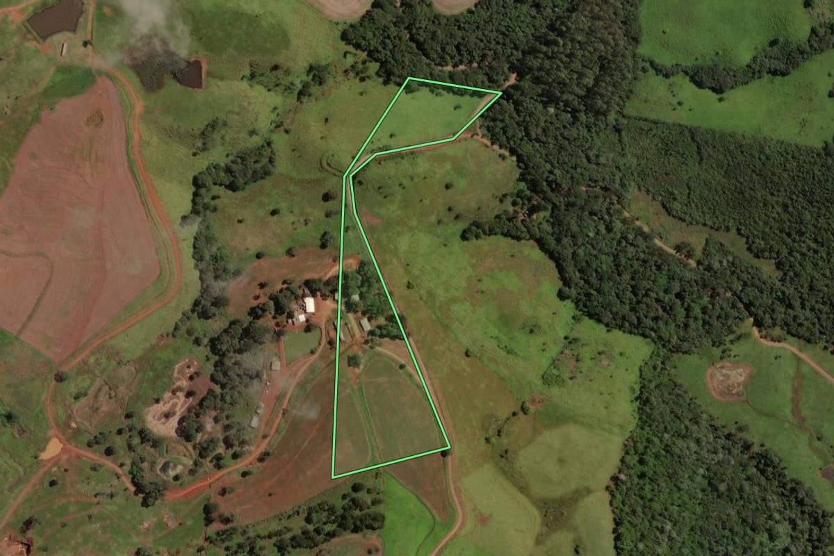 Imagem de satélite do imóvel rural em Laranjeiras do Sul (PR), com o contorno declarado no CAR desenhado por cima.