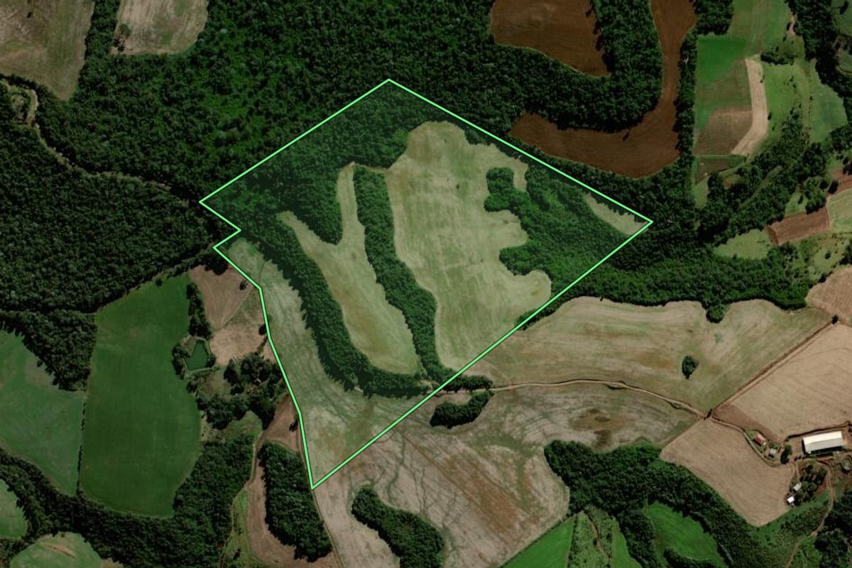 Imagem de satélite do imóvel rural em Laranjeiras do Sul (PR), com o contorno declarado no CAR desenhado por cima.