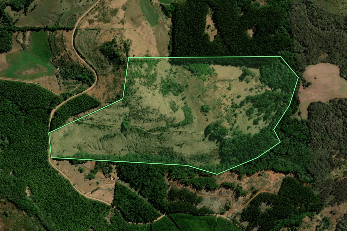 Imagem de satélite do imóvel rural em Laranjeiras do Sul (PR), com o contorno declarado no CAR desenhado por cima.