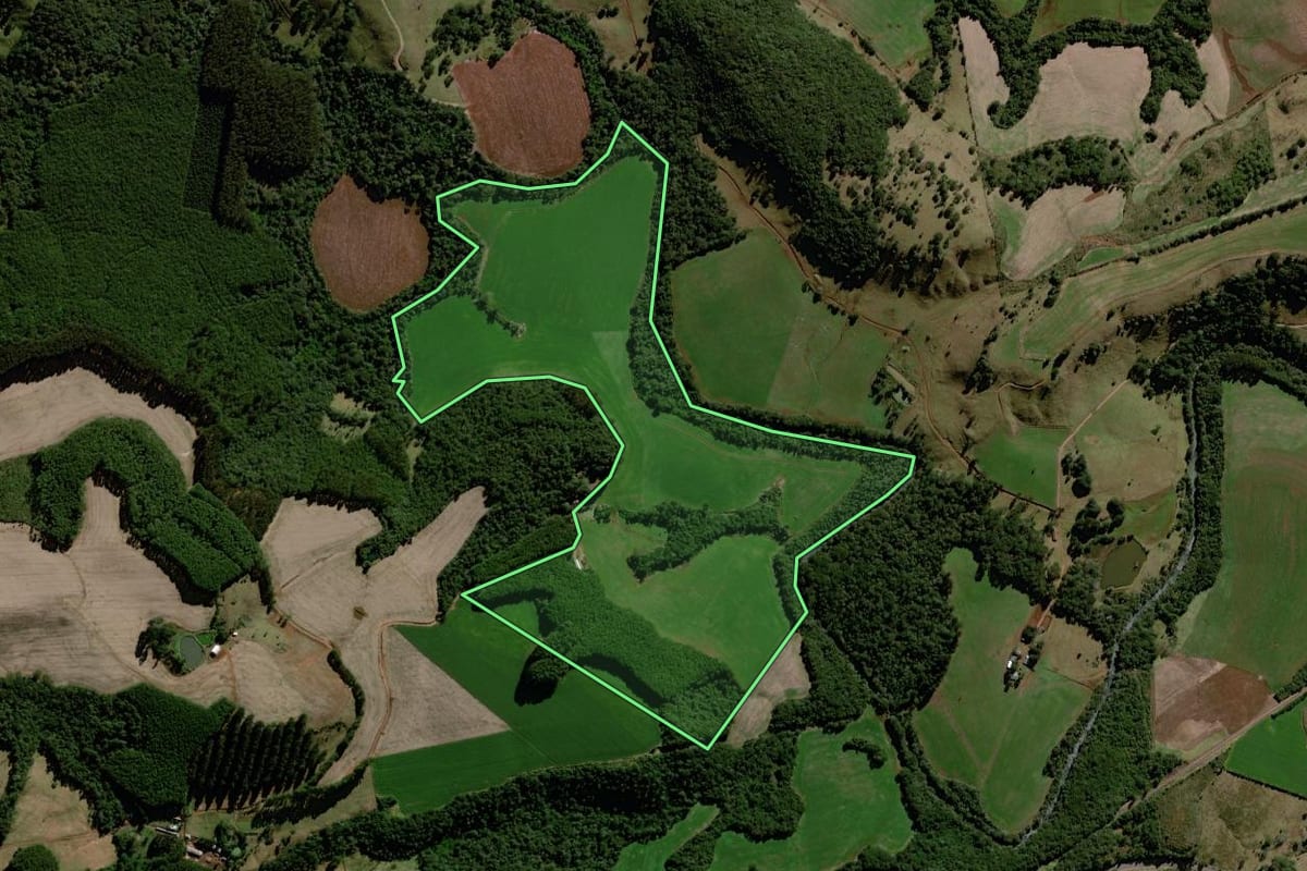 Imagem de satélite do imóvel rural em Laranjeiras do Sul (PR), com o contorno declarado no CAR desenhado por cima.
