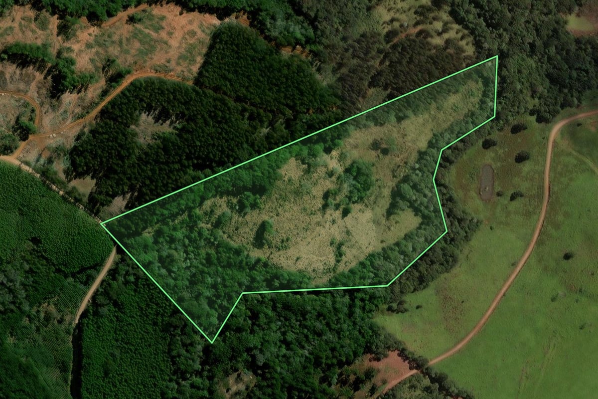 Imagem de satélite do imóvel rural em Laranjeiras do Sul (PR), com o contorno declarado no CAR desenhado por cima.